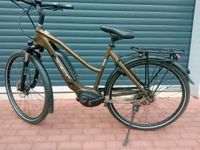 E-Bike Velo de Ville (enviolo Schaltung)❗❗❗ Nordrhein-Westfalen - Hamm Vorschau