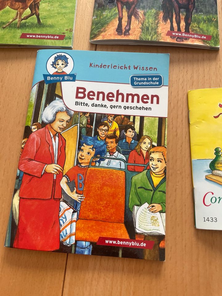 Pixi und Benny Blu Bücher in Burgwedel