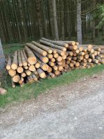 Holz Brennholz Stammholz Brennholzfichte Fichte Baden-Württemberg - Mietingen Vorschau
