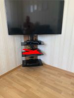 Samsung Fernsehen 3D  mit Regal Sachsen - Weißwasser Vorschau