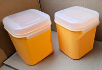 2x Tupperware Bellevue 1,2l - NEU orange Vorratsbehälter Junior Hessen - Flörsheim am Main Vorschau