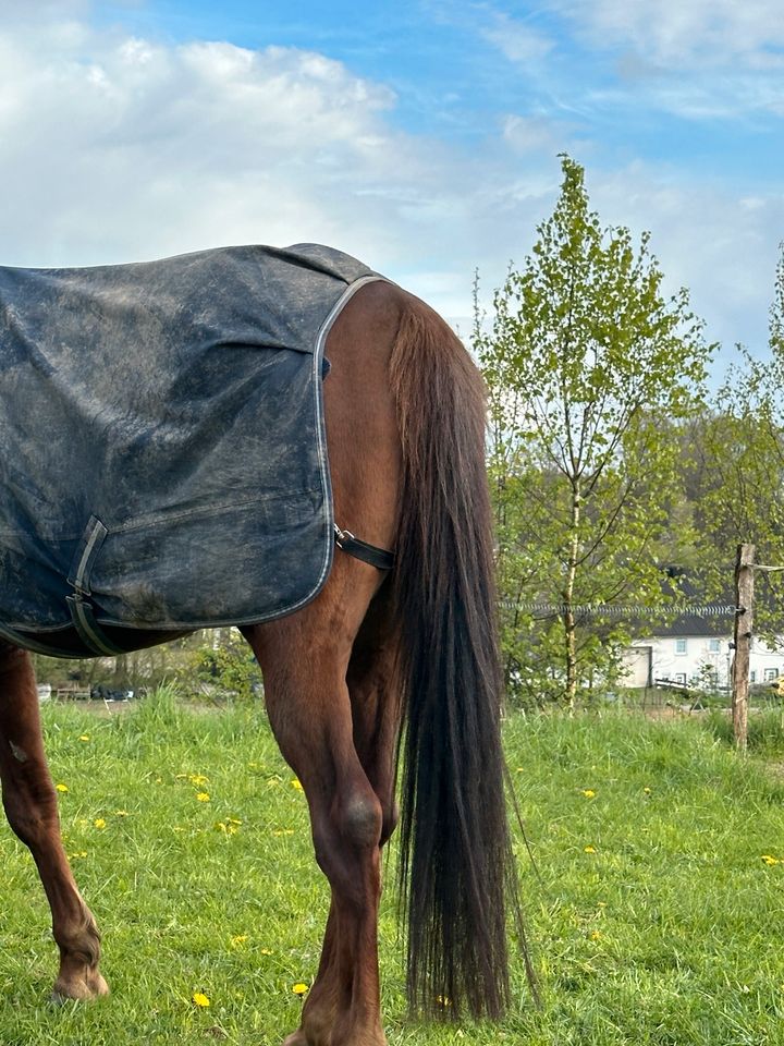 Walkerdecke zu verkaufen oder tauschen in Drolshagen