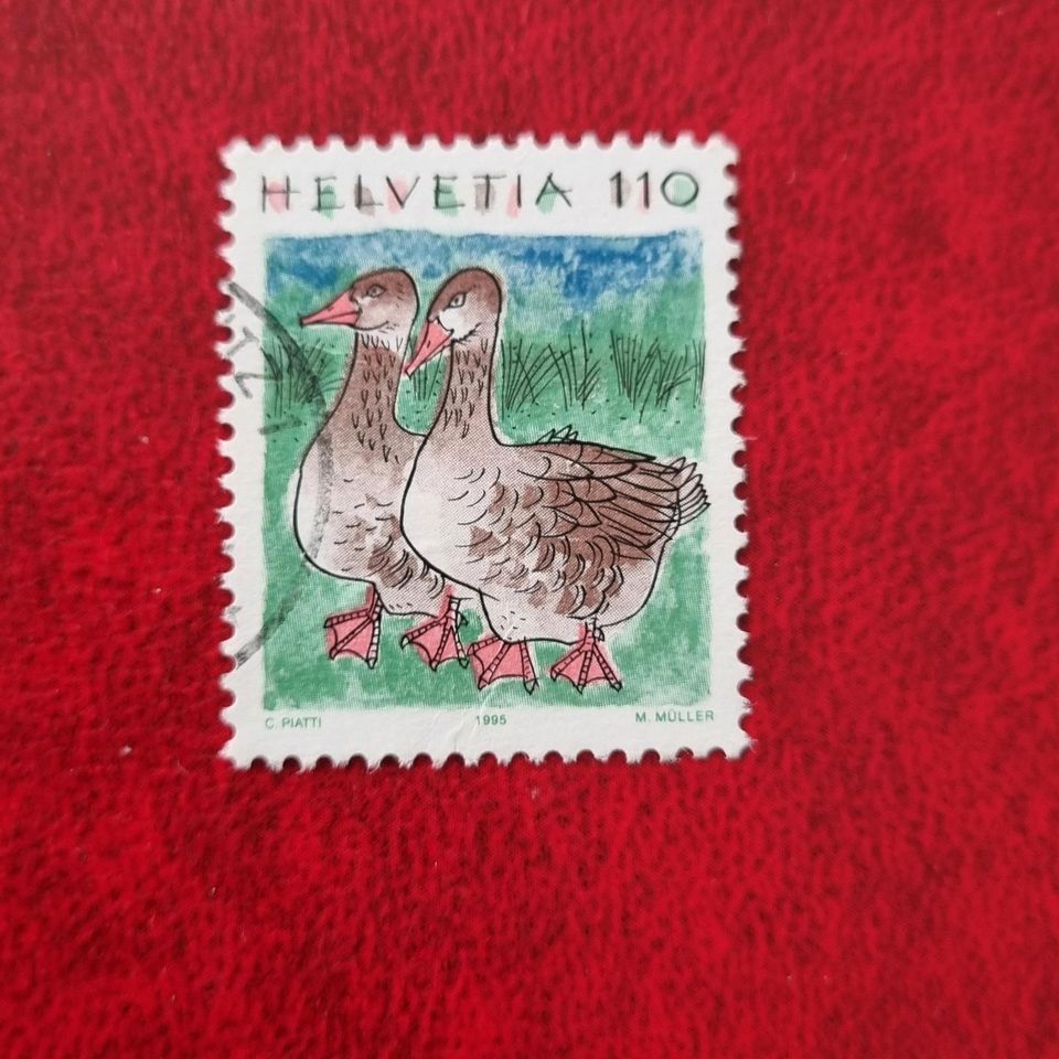 Schweiz Enten Erpel Enterich Wasservogel Briefmarke #2235 in Aurich