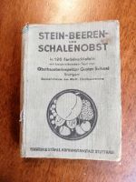 Gustav Schaal  Stein-Beeren-Schalenobst in 126 Farbdrucktafeln Berlin - Steglitz Vorschau