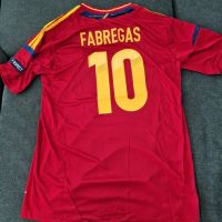 Fabregas Spanien Trikot Maglia Maillot 2012 Gr. L Baden-Württemberg - Rheinfelden (Baden) Vorschau