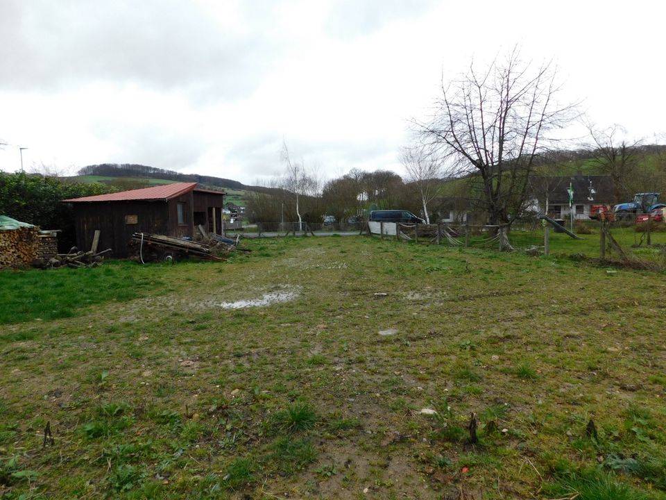 Schönes unverbaubares Eckgrundstück in Ortsrandlage in unverbauter Fernsicht in Isselbach