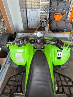 Kawasaki KFX 700 Herzogtum Lauenburg - Schnakenbek Vorschau