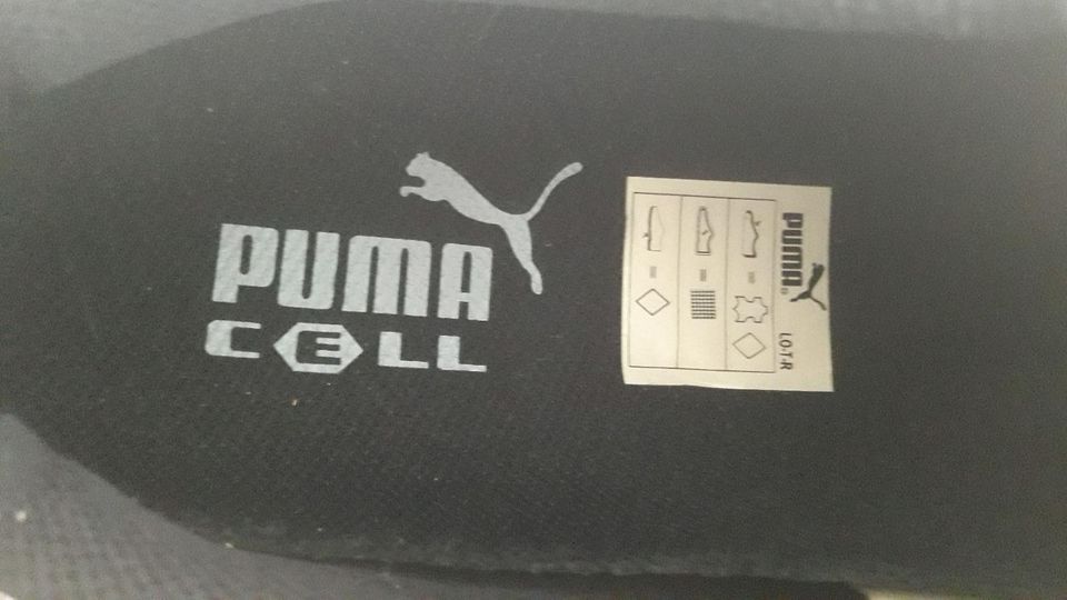 Puma, Herren Sportschuhe Gr. 11 in Angelburg