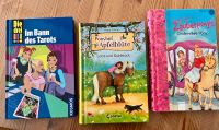 Bücher 3!!! Ponyhof Apfelblüte Zauberpony Hessen - Burghaun Vorschau