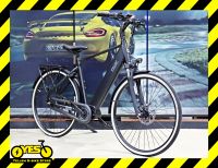 QWIC Premium i MN8+C eBike 8-G Nexus 80Nm Rücktritt Gr. M / L⚡❗ Sachsen-Anhalt - Staßfurt Vorschau