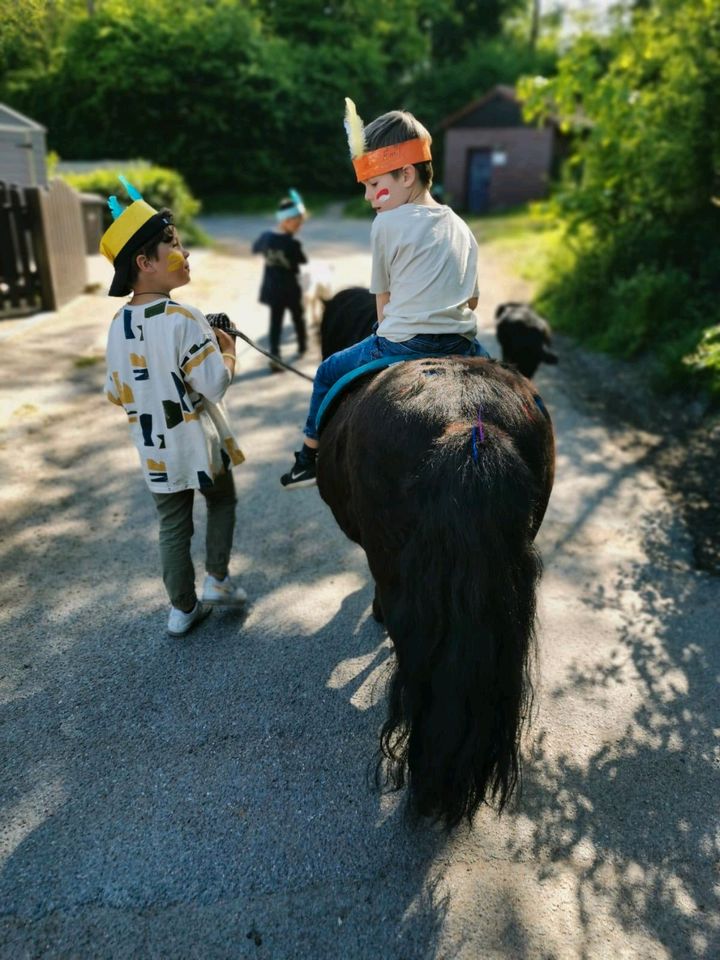 Reitbeteiligung, Pony sucht Kind, Shetty sucht Teenager! in Marl