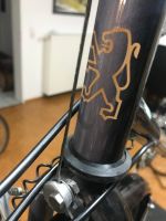 Peugeot Trekkingrad, Shimano XT, Nordrhein-Westfalen - Werl Vorschau