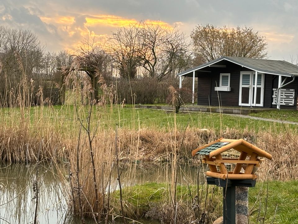 Möbliertes Wohnen auf Zeit in Hilgendorf bei Grevesmühlen in Elmenhorst bei Grevesmühlen