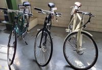 Elektrofahrrad Qivelo Fito TK28 250W Pedelec E-Bike Riemenantrieb Nordrhein-Westfalen - Gelsenkirchen Vorschau