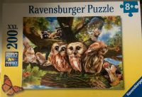 Ravensburger Puzzle - Tierkinder - Wald - Eulen Mecklenburg-Vorpommern - Pasewalk Vorschau