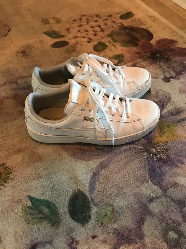 Puma soft foam Schuhe in Hamburg Mitte Hamburg Horn eBay