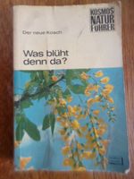 Was blüht denn da ? Blütenpflanzen Mitteleuropa - Kosch, Alois (1 Rheinland-Pfalz - Bad Sobernheim Vorschau
