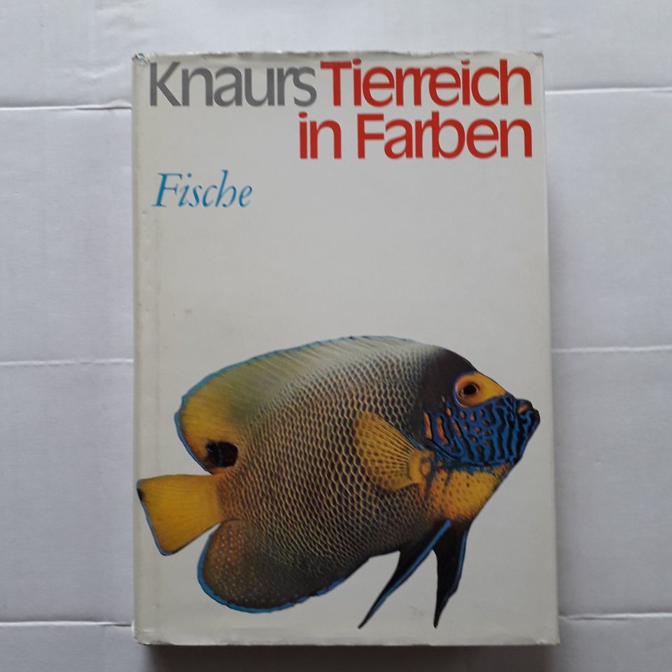 Tierreich in Farben - Fische / Knaurs / Tierbuch in Dortmund