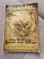 Antikes Buch 20. Jahrhundert Die Katze Thüringen - Nesse-Apfelstädt Vorschau