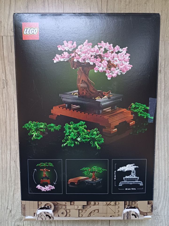 LEGO 10281 Bonsai Tree in Werne