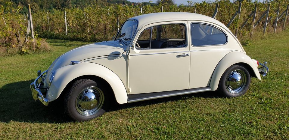 vw beetle 1300 in München