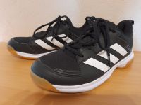 adidas Turnschuhe Sneaker Sportschuhe Gr. 39,5 *2x getragen* Sachsen - Triebel Vorschau