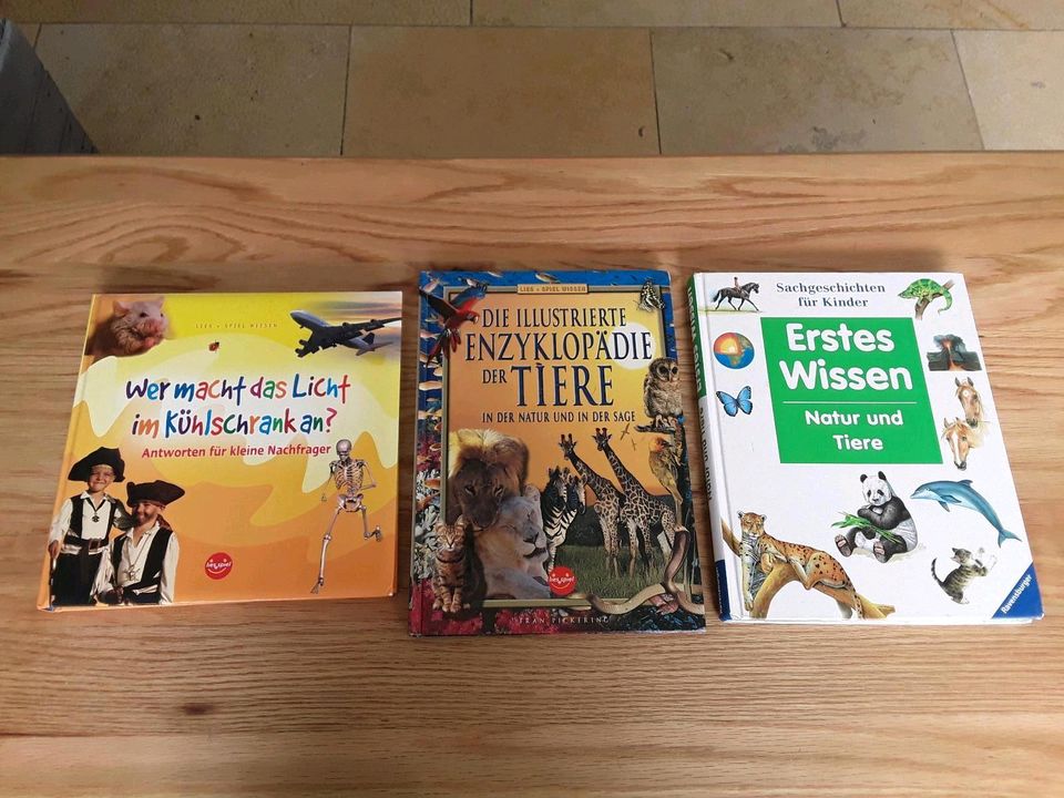 9 Kinder Wissensbücher in Hopsten