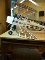 TIGER MOTH Doppeldecker , Laser Cut 1400 mm Spannweite , 1 A Nordrhein-Westfalen - Hagen Vorschau