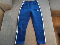 Adidas | Damen | Jogginghose | Blau | 140 | Neuwertig Hessen - Fulda Vorschau
