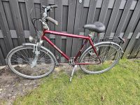 Herren Fahrrad 28 zoll Niedersachsen - Schwarmstedt Vorschau