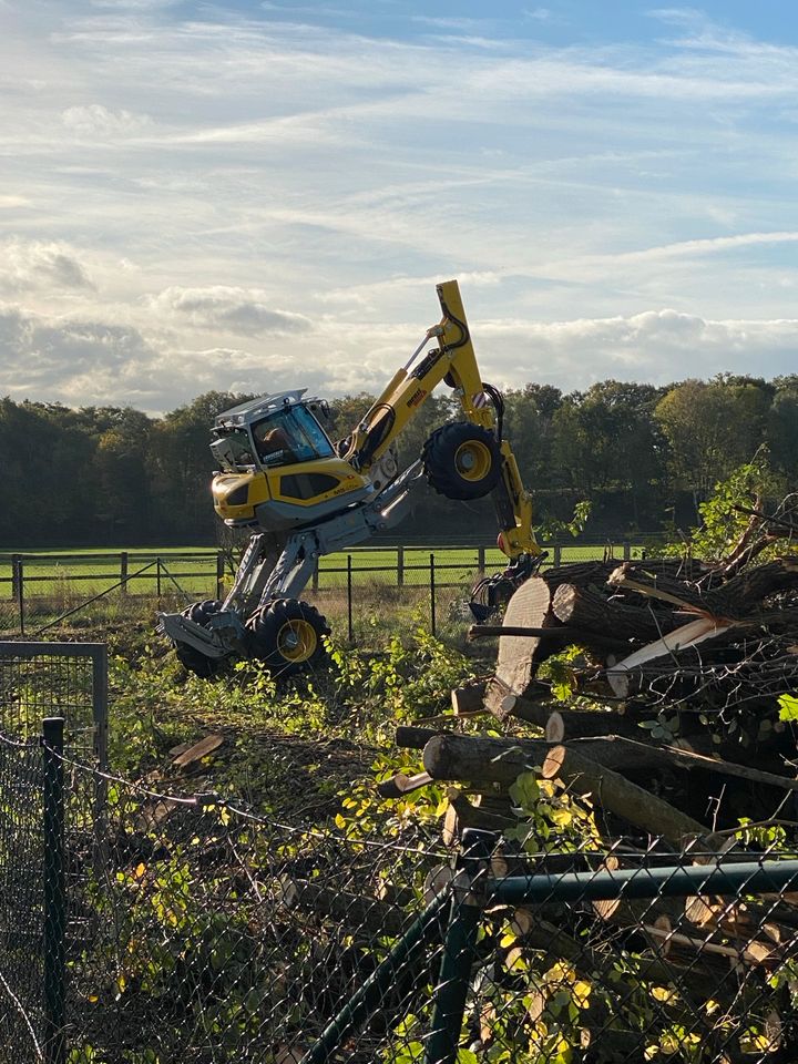 Schreitbaggerarbeiten Menzi Muck Schreitbagger in Berne