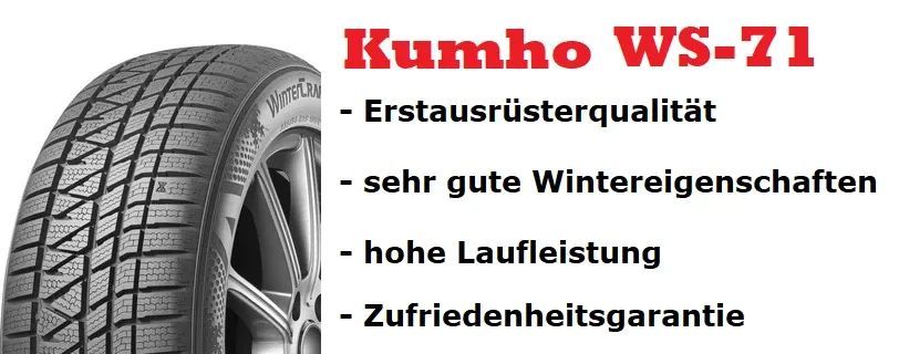 BYD Atto3 Winterreifen Winterräder 17 Zoll 5x114,3 Felgen Borbet