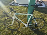Focus Rennrad Alurad mit Carbonteilen Sachsen - Weinböhla Vorschau