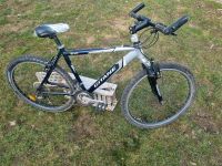 Gitane Fahrrad 26zoll Mountainbike Brandenburg - Seelow Vorschau