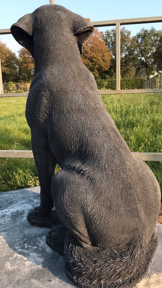 Labrador Retriever 80cm 90kg Lebensgroß Steinguss Labbi Lab Hund in Magdeburg