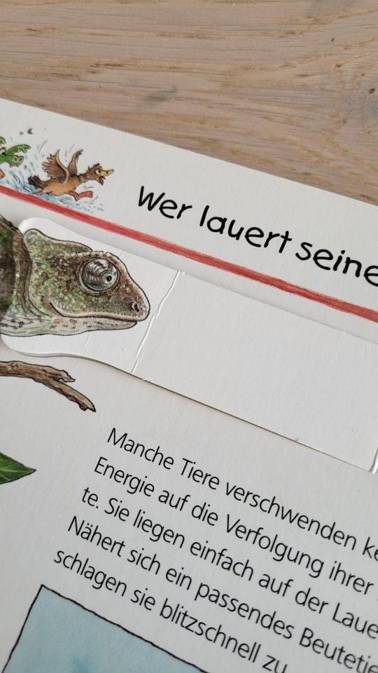 Wieso? Weshalb? Warum? Gefährliche Tiere / Ravensburger in Pliezhausen