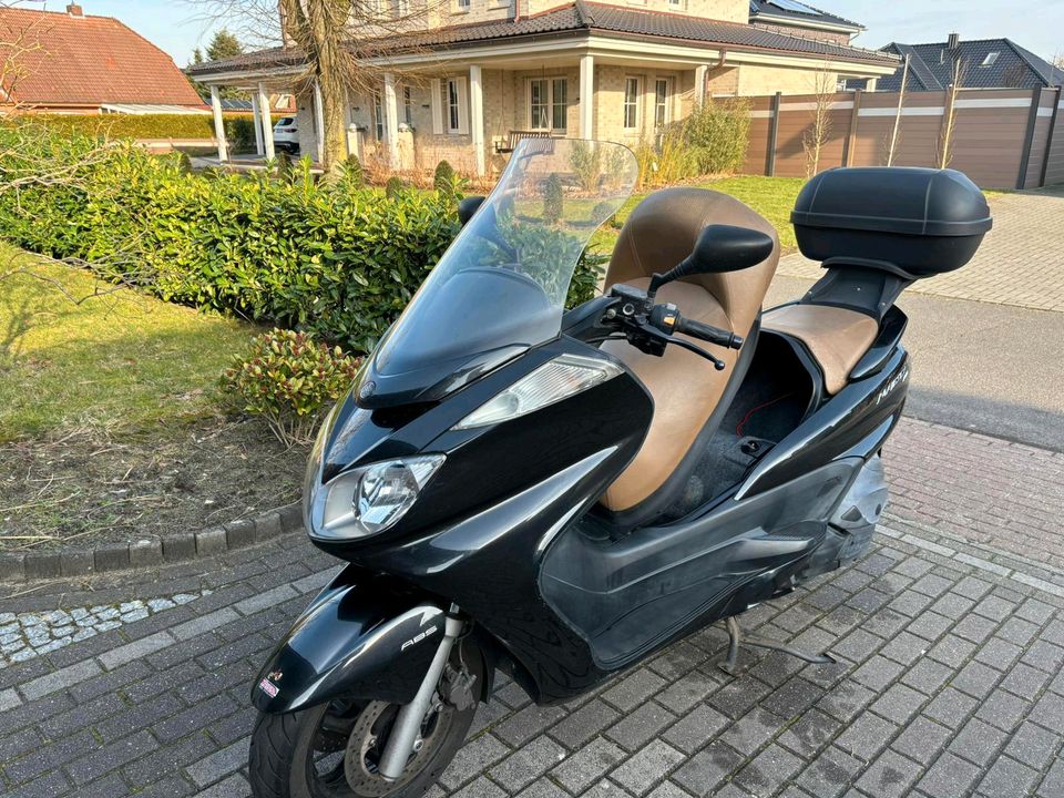 Yamaha Majesty 400 in Heede(Emsland)