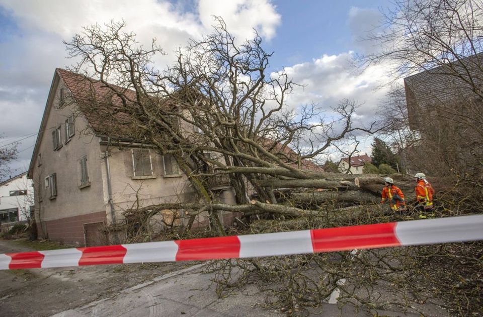 Sturmschaden / Notdienst / Baum auf Haus in Rostock