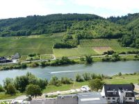 Zwei vertragsfreie Waldflächen nahe der Mosel angrenzend an Weinb Rheinland-Pfalz - Bruttig-Fankel Vorschau