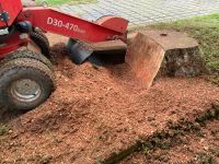 Baumstumpf entfernen, Wurzeln entfernen,Stubbenfräsen,Hecken Sachsen-Anhalt - Halle Vorschau