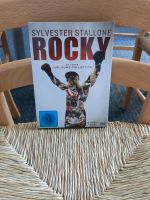 Rocky Box DVDS Bayern - Würzburg Vorschau