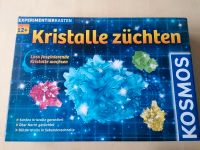 Kristalle züchten Nordrhein-Westfalen - Borchen Vorschau