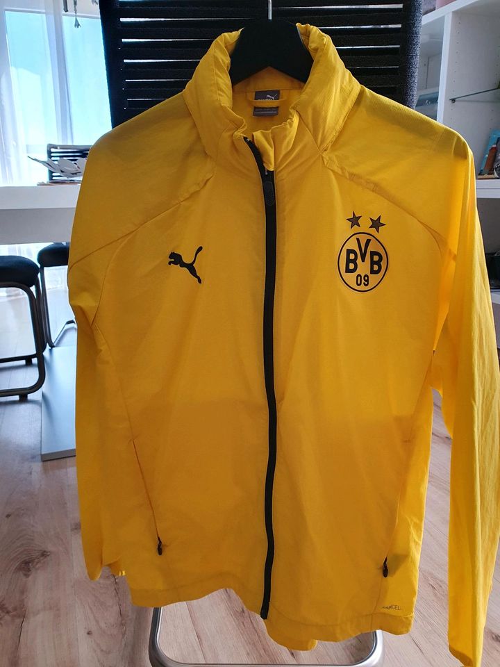 BVB Regenjacke in Hohenhameln