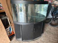 Aquarium Triton 350 Sachsen-Anhalt - Droyßig Vorschau