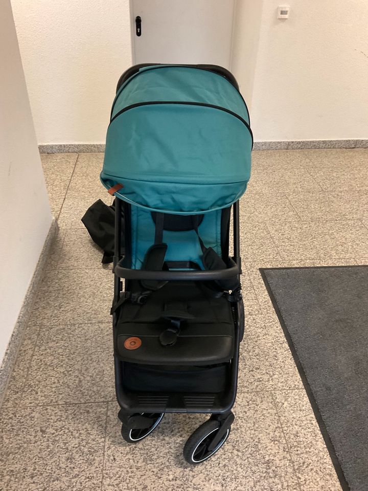 Lionelo Buggy CLOE in Trier