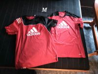 2 Adidas Shirts Gr. M Sachsen - Werdau Vorschau