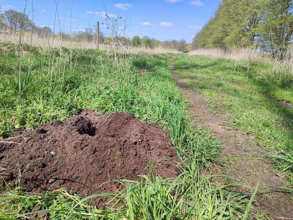 Erdlöcher bohren (Weidezaun, Pflanzlöcher, Punktfundament etc.) in Kyritz