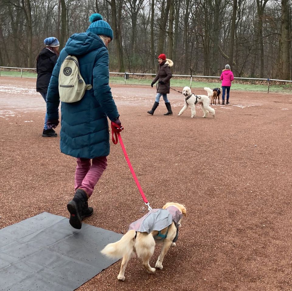 Hundetraining in Duisburg und Umgebung - Erfahrene in Duisburg