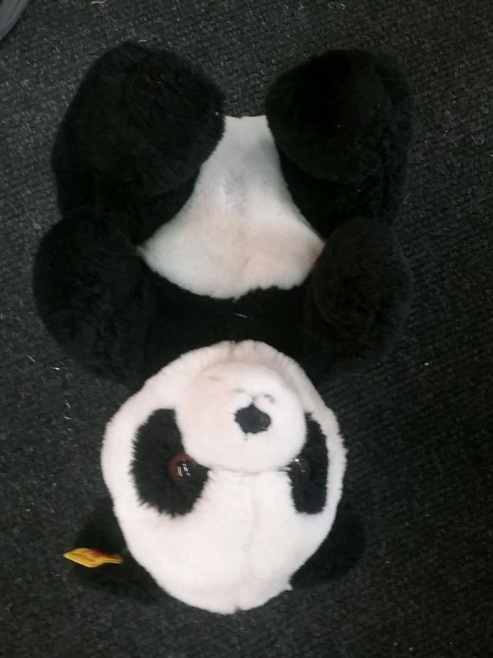 Steiff Teddy Teddybär Teddybären Panda Meerschweinchen alt in Dresden