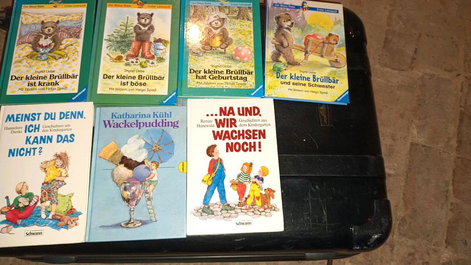 Kinderbücher Sammlung 2KARTONS in Leese